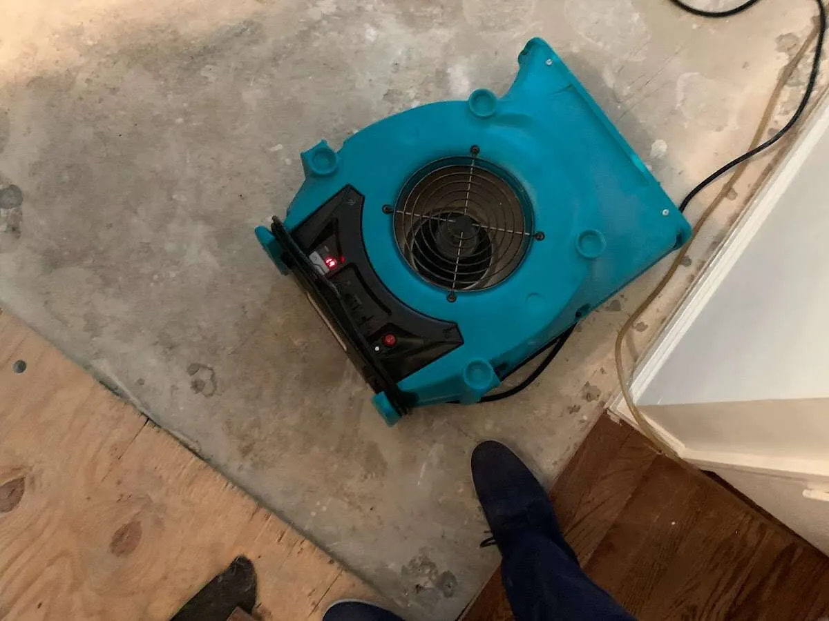Air mover drying subfloor during Leak Detection & Repair in Safety Harbor
